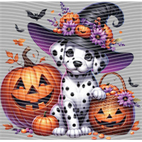 Halloween-WS 5829